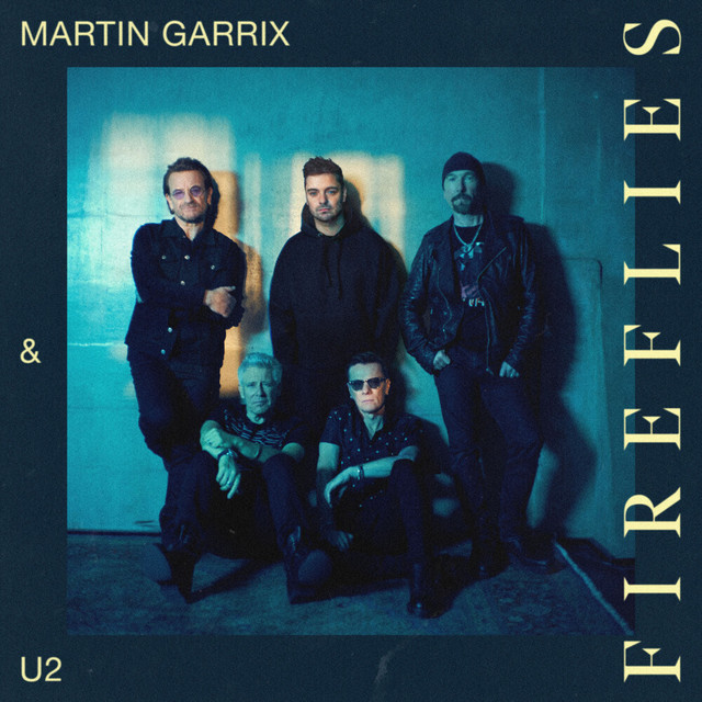 دانلود آهنگ Fireflies از Martin Garrix