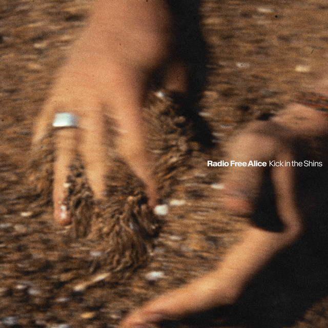 دانلود آهنگ Kick in the Shins از Radio Free Alice