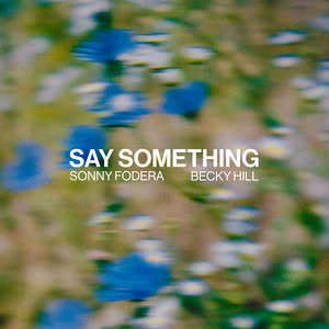 دانلود آهنگ Say Something از Sonny Fodera