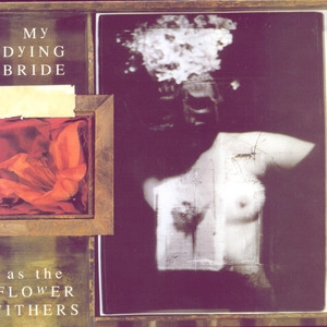 دانلود آلبوم As the Flowers Withers از My Dying Bride