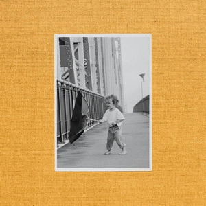 دانلود آهنگ Carnation از Jordan Rakei