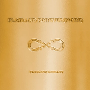 دانلود آهنگ How Long از Flatland Cavalry