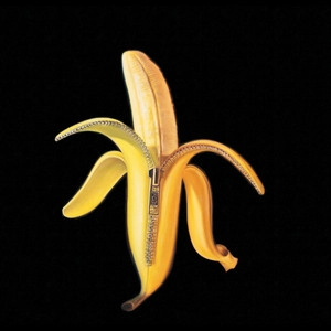 دانلود آهنگ I Am Sound از The Dandy Warhols