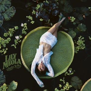 دانلود آهنگ I Want To از Lily Meola