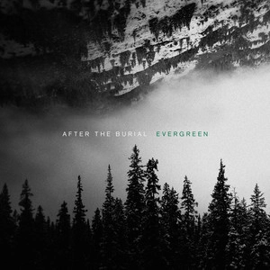 دانلود آهنگ In Flux از After the Burial