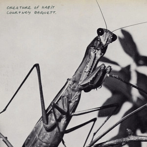 دانلود آهنگ Mostly Patient از Courtney Barnett
