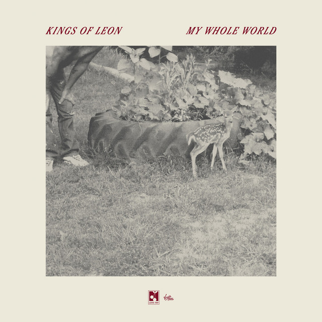 دانلود آهنگ My Whole World از Kings of Leon