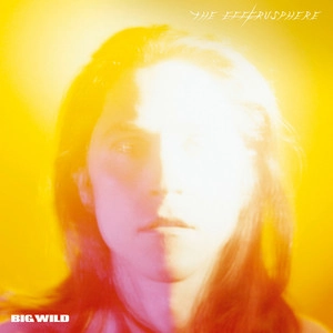 دانلود آهنگ OMGarden از Big Wild