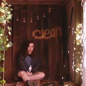 دانلود آهنگ Skin از Soccer Mommy