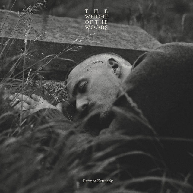 دانلود آهنگ Stockholm از Dermot Kennedy