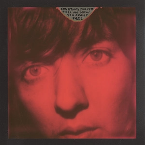 دانلود آلبوم Tell Me How You Really Feel از Courtney Barnett
