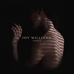 دانلود آهنگ Till Forever از Joy Williams