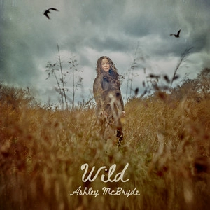 دانلود آهنگ Wild از Ashley McBryde