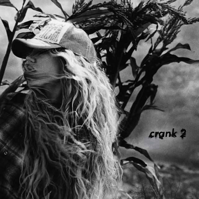 دانلود آهنگ crank 2 از Slayyyter