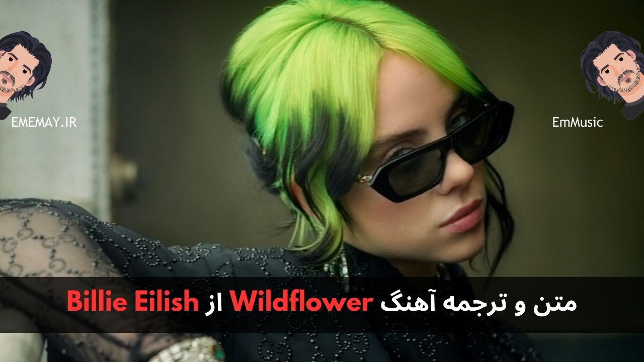 متن و ترجمه آهنگ Wildflower از Billie Eilish
