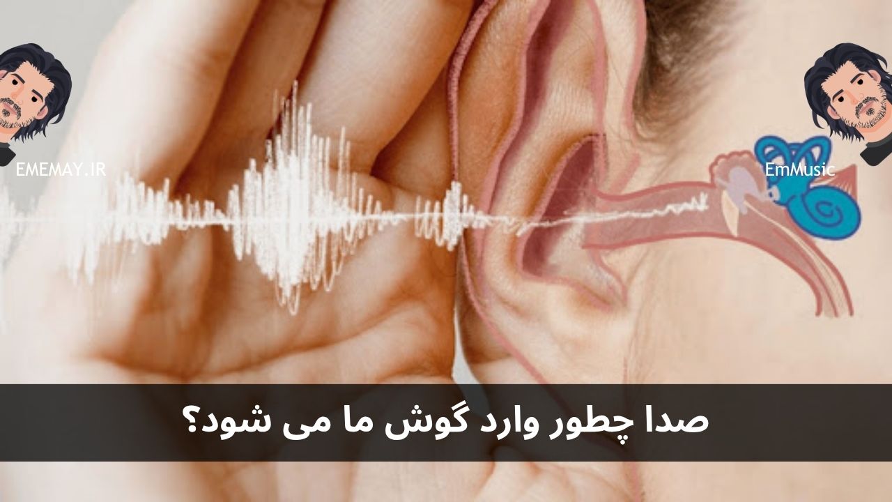 صدا چطور وارد گوش ما می شود؟